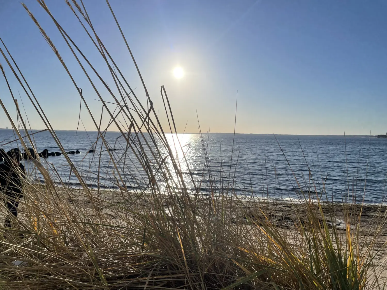 Gras und Fluss von Ferienwohnung Heimathafen & Hafenkante 